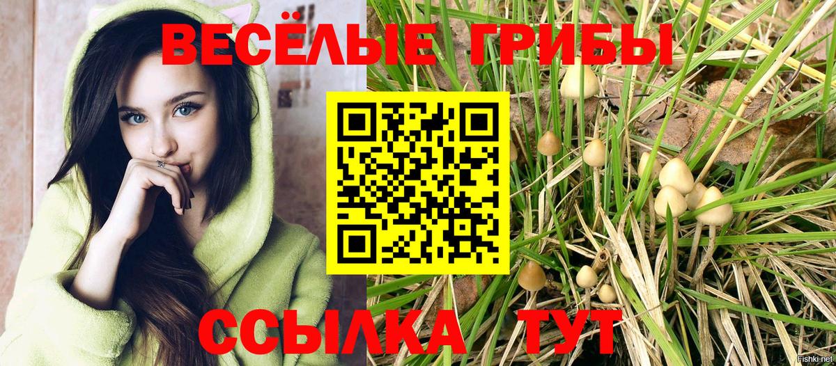 Псилоцибиновые грибы Psilocybine cubensis  Вход с VPN  Ипатово 